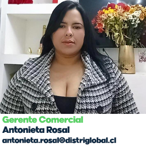 GERENTE COMERCIAL_Equipo
